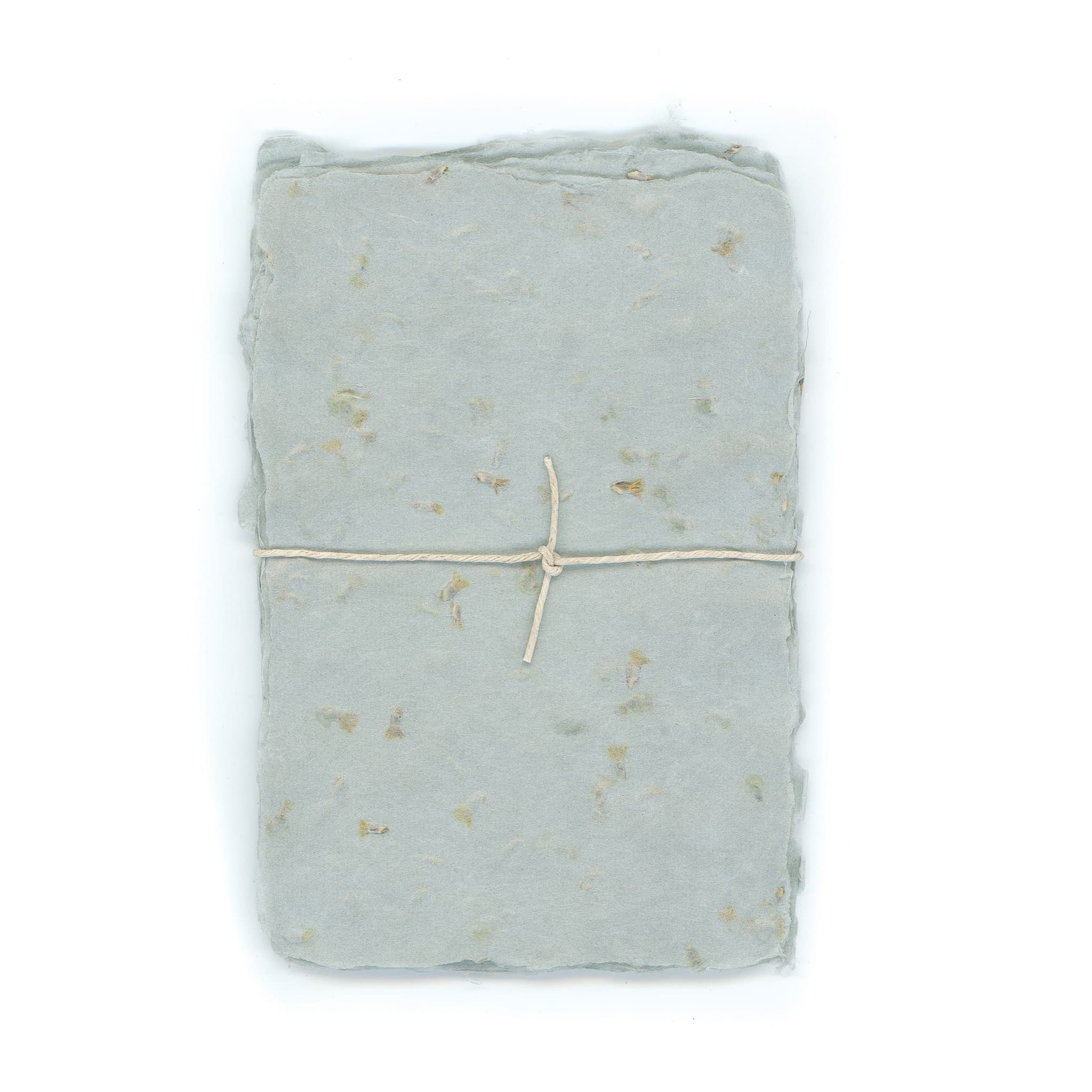 Blue Cornflower Seed Paper
