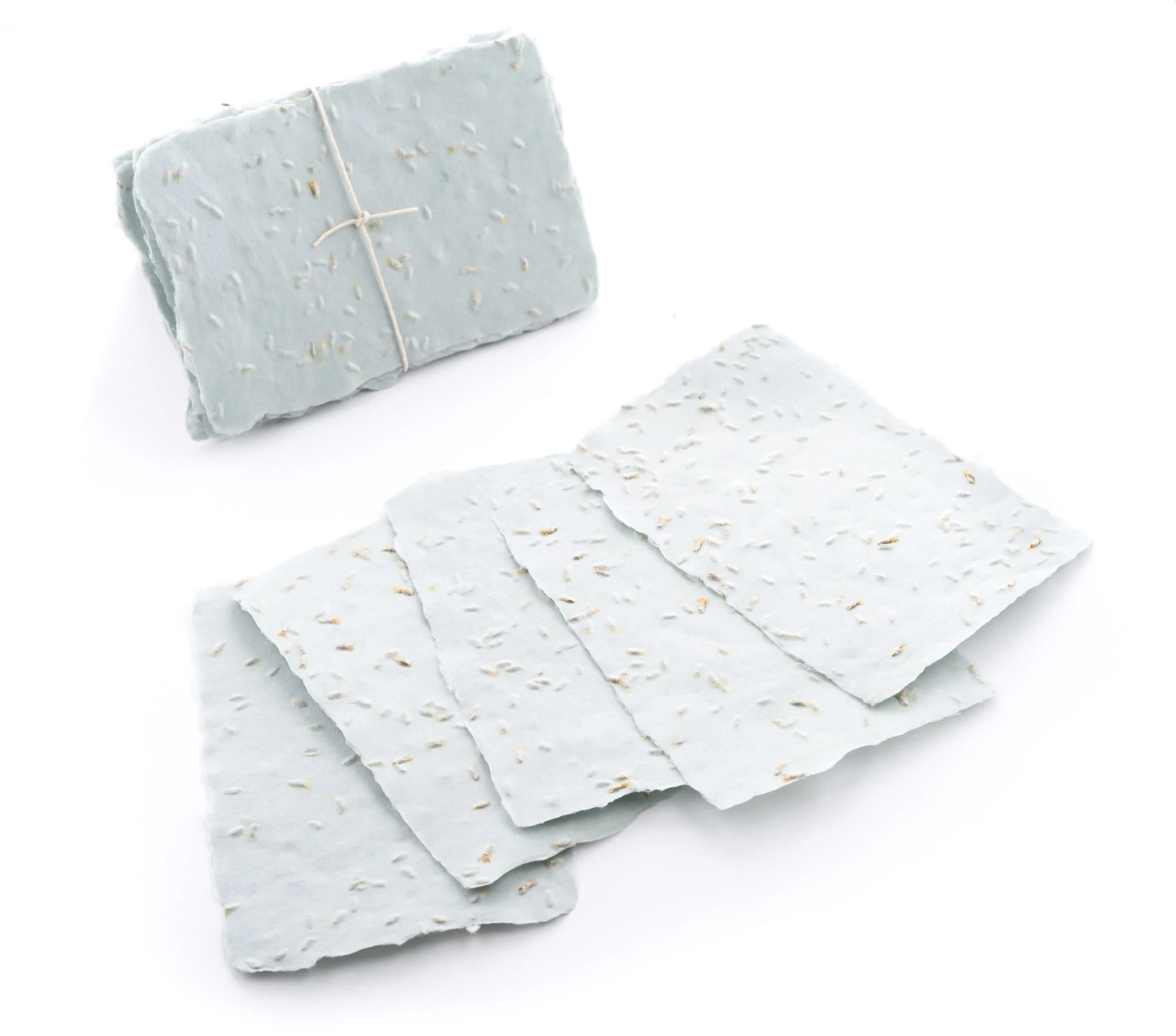 Blue Cornflower Seed Paper