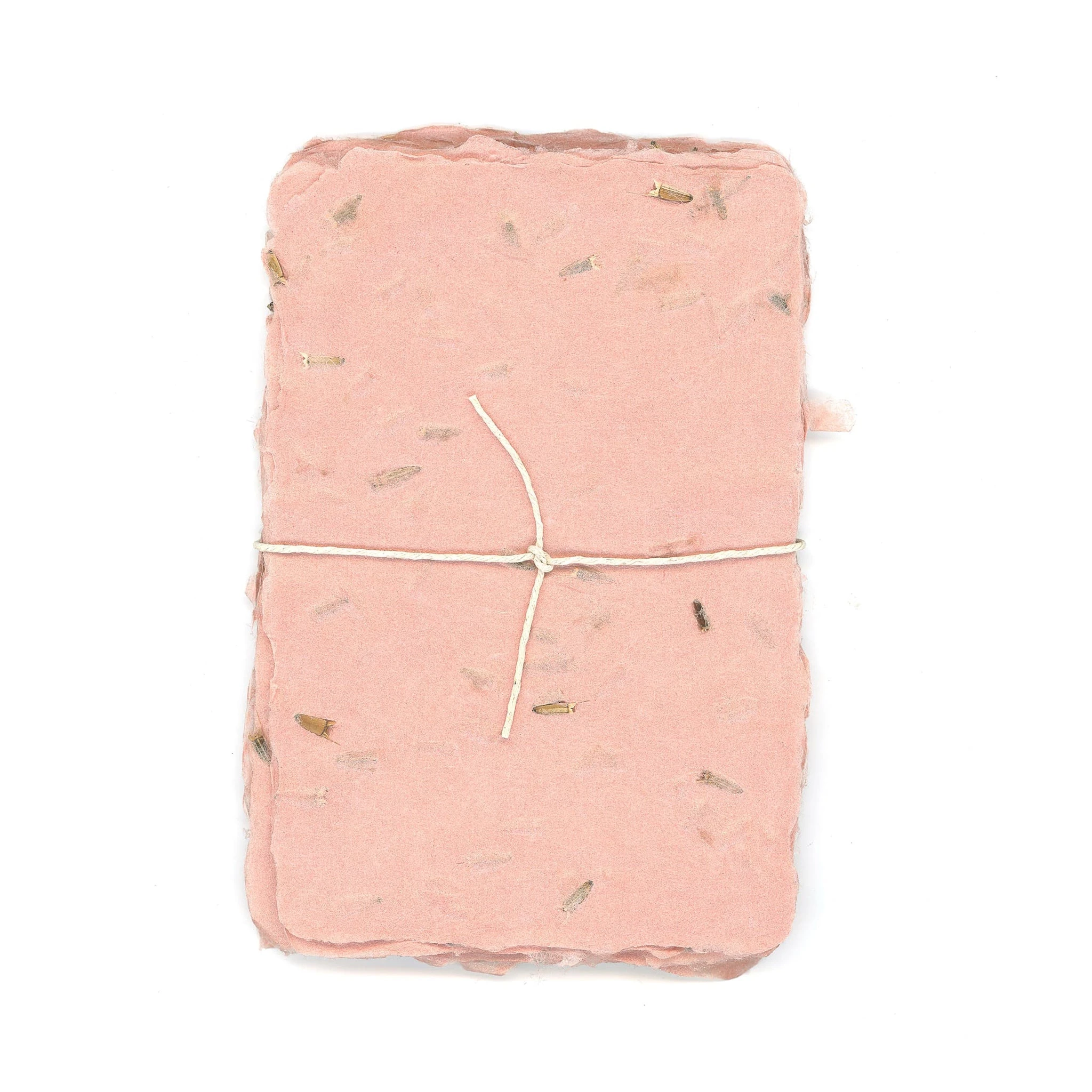 Mexican Sunflower Seed Paper