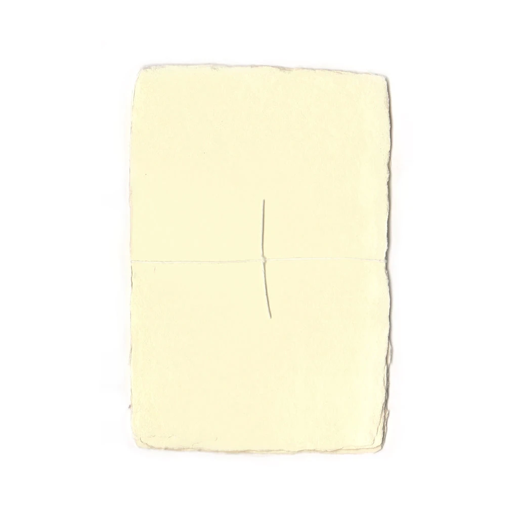Pale Buttercup | Cotton