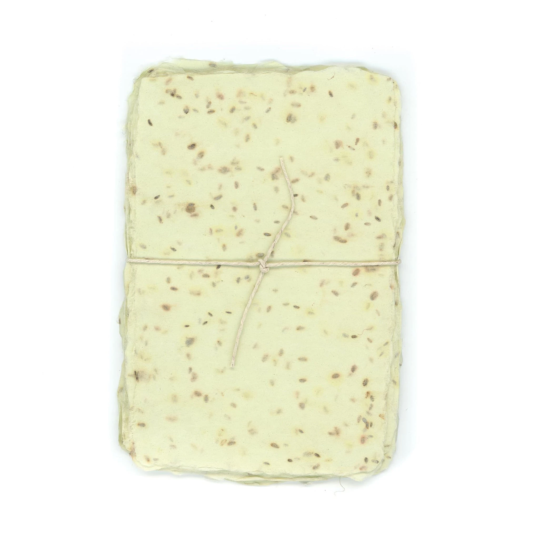 Queen Anne's Lace Seed Paper