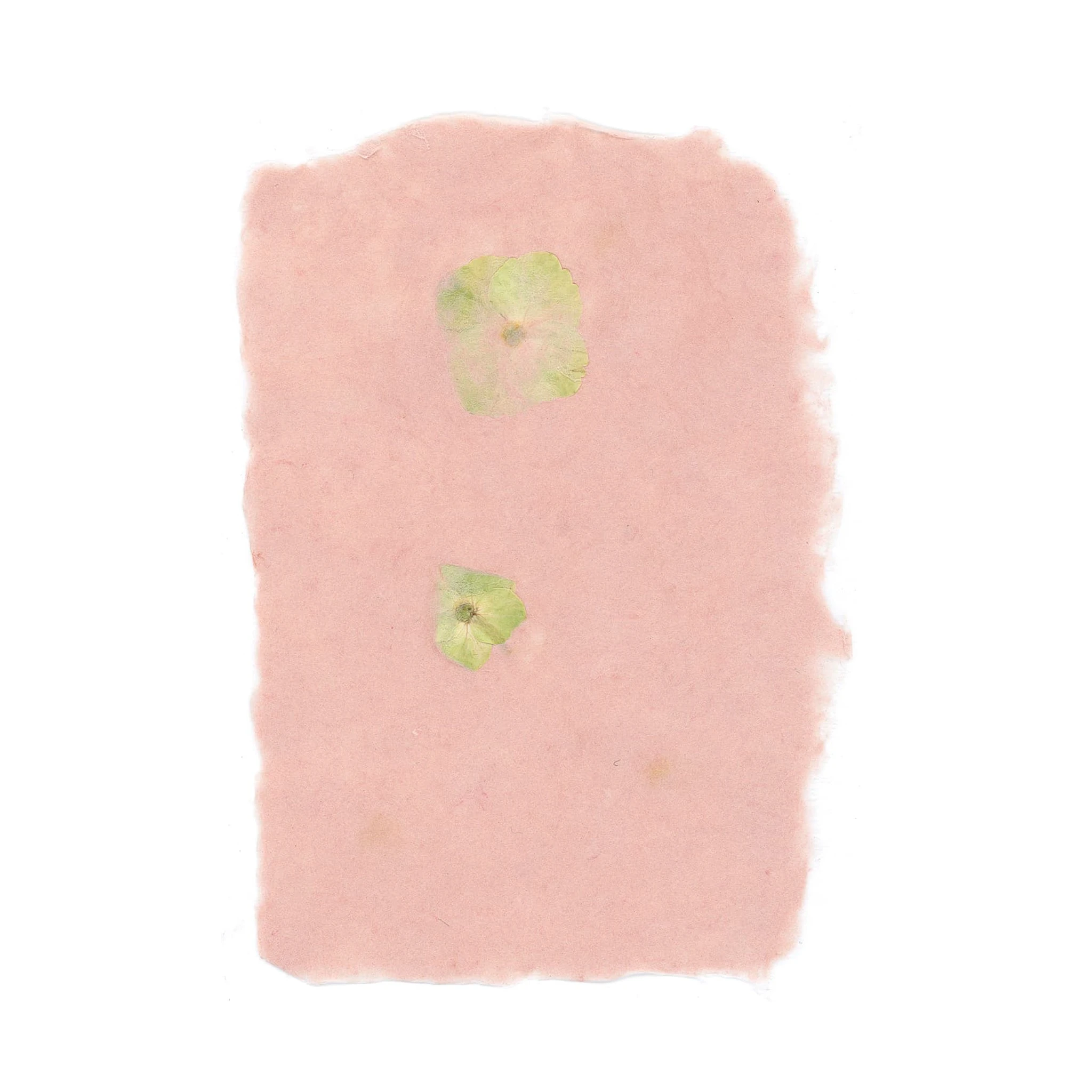 Rouge Petal Paper