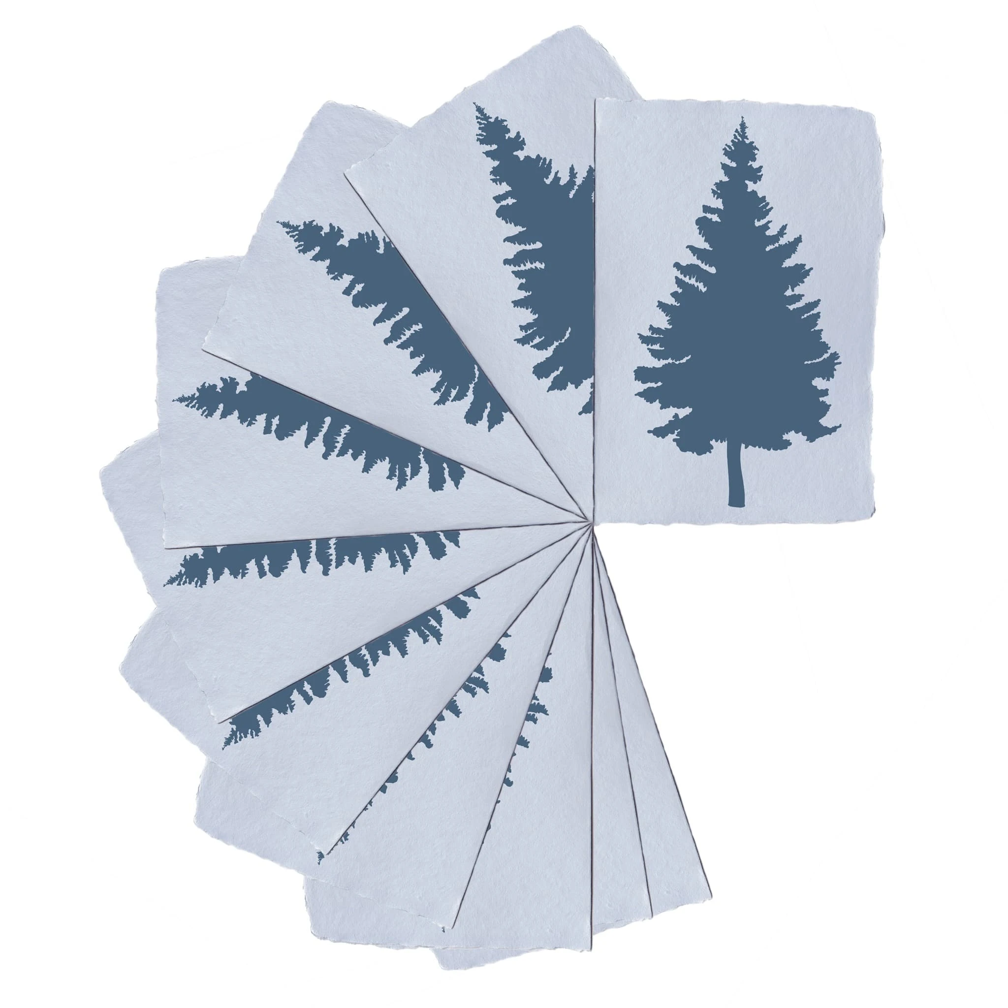Blue Spruce Stationery
