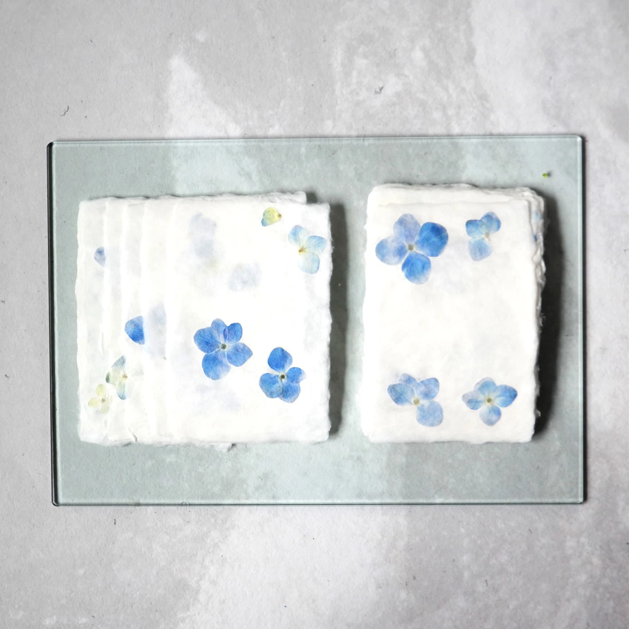 Bleached Abaca w/ Blue Hydrangeas
